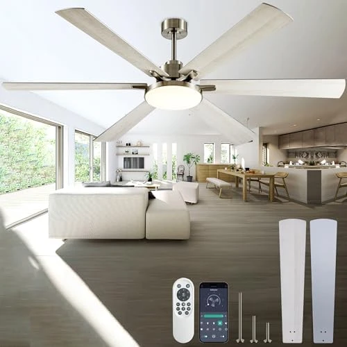 Smart Ceiling Fan with Lights Remote — Smart Fan, DIAMONDFORGE