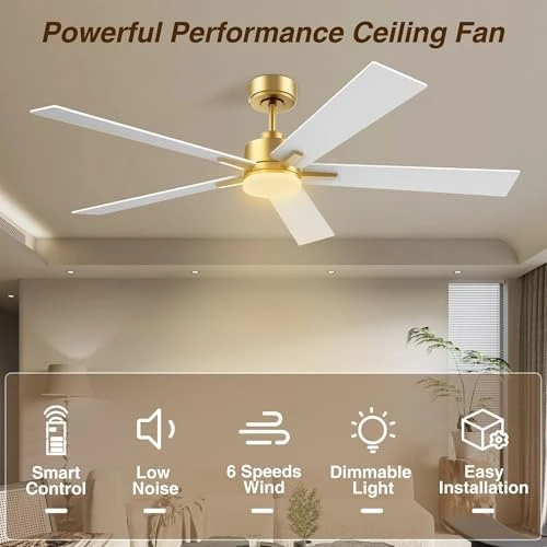 Smart Ceiling Fan with Lights — Smart Fan, Livory