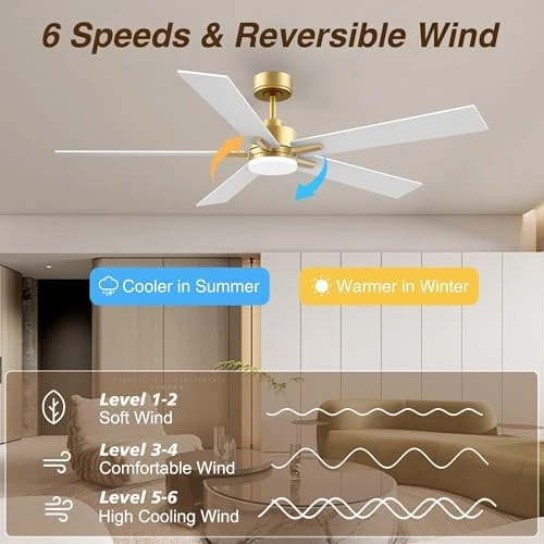 Smart Ceiling Fan with Lights — Smart Fan, Livory