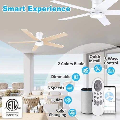 Smart Low Profile Ceiling Fan with Light — Smart Fan, Lorpies
