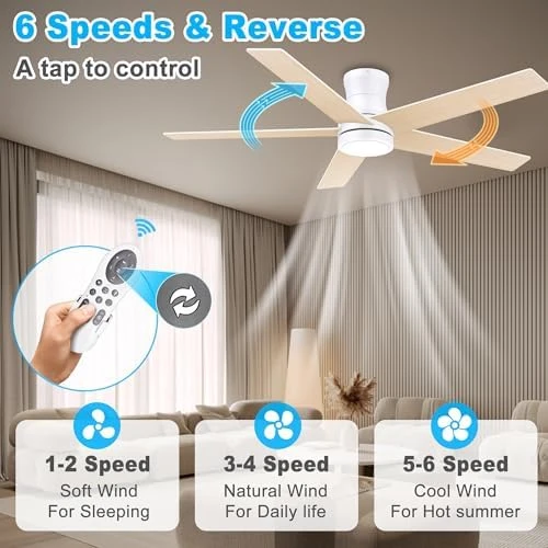 Smart Low Profile Ceiling Fan with Light — Smart Fan, Lorpies