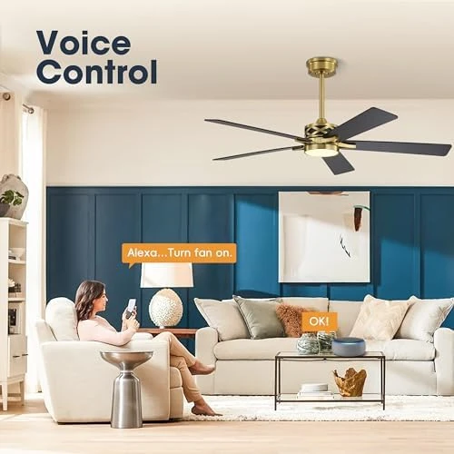 Smart Ceiling Fan with Lights and 3 Downrods — Smart Fan, WINGBO