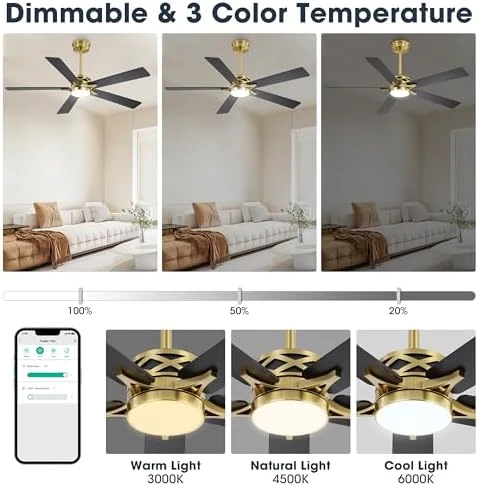 Smart Ceiling Fan with Lights and 3 Downrods — Smart Fan, WINGBO