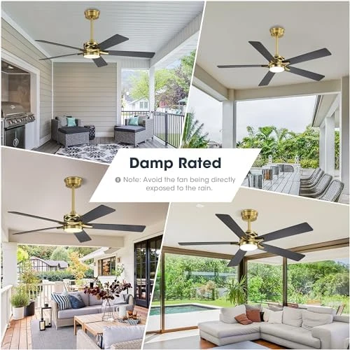 Smart Ceiling Fan with Lights and 3 Downrods — Smart Fan, WINGBO