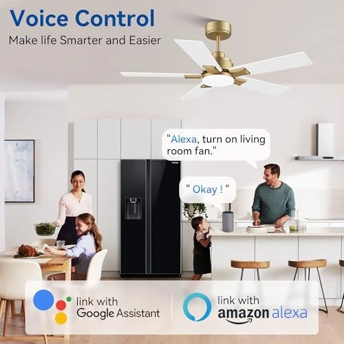 Smart Ceiling Fan with Lights — Smart Fan, Hoenofly