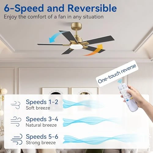 Smart Ceiling Fan with Lights — Smart Fan, Hoenofly