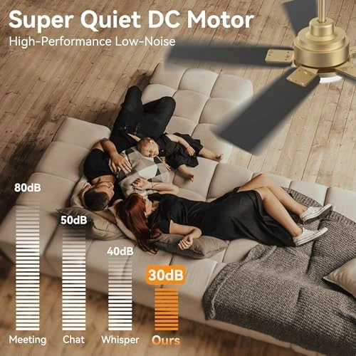 Smart Ceiling Fan with Lights — Smart Fan, Hoenofly