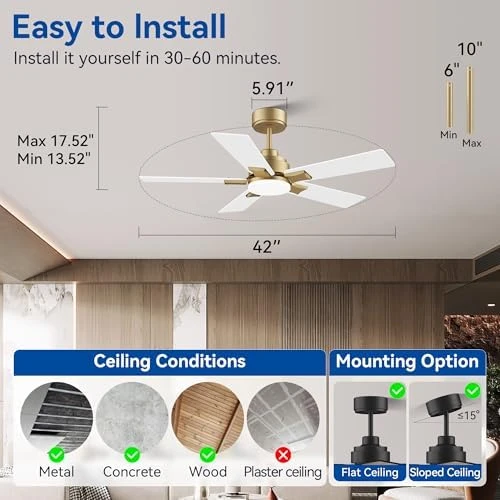Smart Ceiling Fan with Lights — Smart Fan, Hoenofly