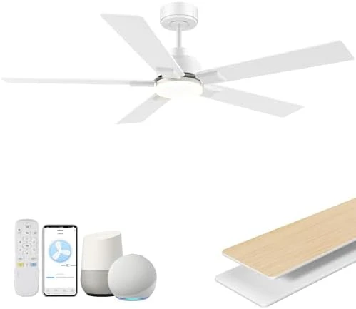 Smart Ceiling Fan with Lights — Smart Fan, Hoenofly