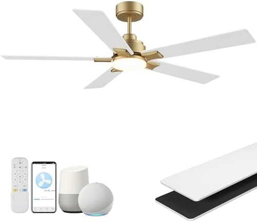 Smart Ceiling Fan with Lights — Smart Fan, Hoenofly