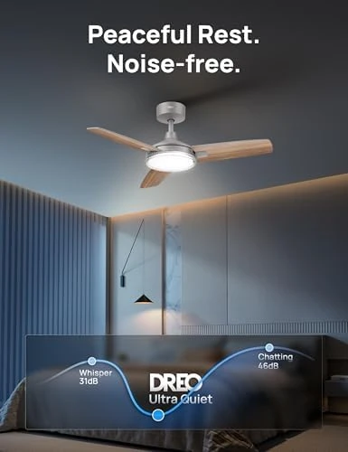 Smart Ceiling Fan with Lights — Smart Fan, Dreo