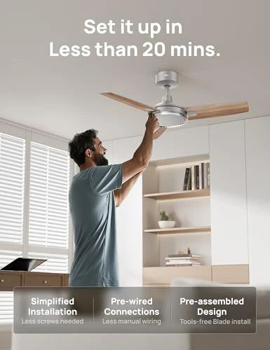 Smart Ceiling Fan with Lights — Smart Fan, Dreo