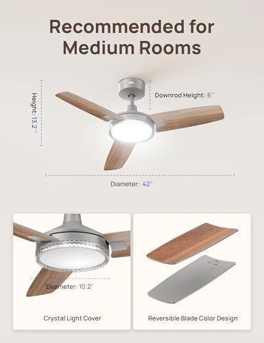 Smart Ceiling Fan with Lights — Smart Fan, Dreo