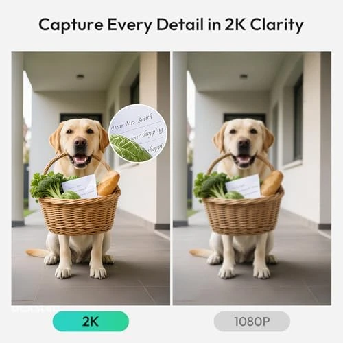 2K Doorbell Camera Wireless with Head-to-Toe View — Video Doorbell, BOTSLAB