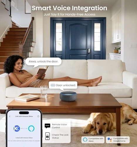Built-in Wi-Fi Smart Lock with Knob — Smart Lock, Veise