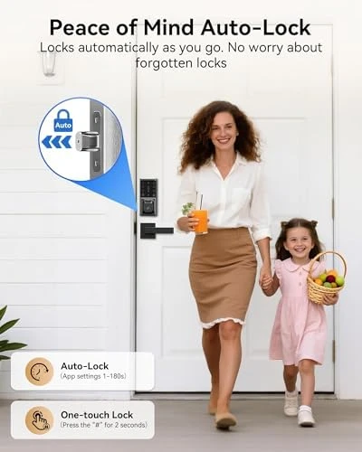 Deadbolt Lock with Two Lever Handles — Smart Lock, IBLOG