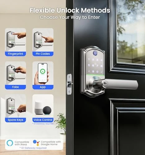 Fingerprint Smart Lever Lock with Handle — Smart Lock, Veise