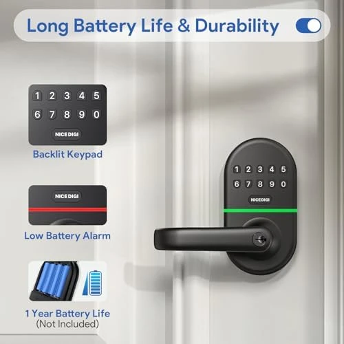 Keypad Door Lock with Handle — Smart Lock, NICE DIGI