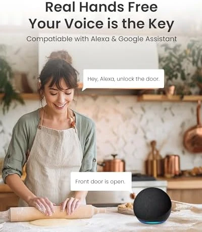 WiFi Smart Lock D110 Plus — Smart Lock, DESLOC