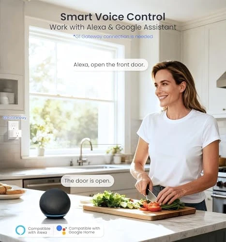 Fingerprint Smart Lock for Front Door — Smart Lock, Veise