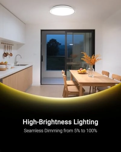 LED Ceiling Light with Bluetooth Speaker — Desk Lamp, Ghettalinn