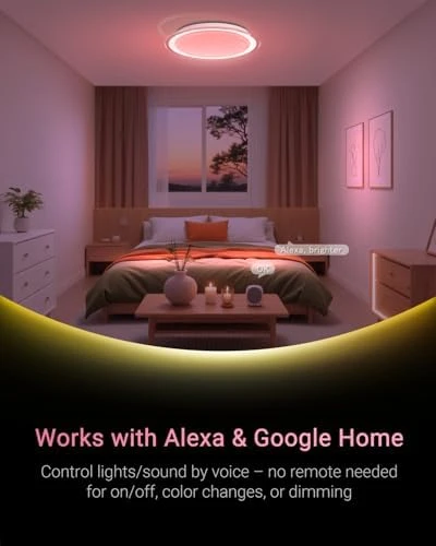 LED Ceiling Light with Bluetooth Speaker — Desk Lamp, Ghettalinn
