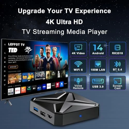 4K Streaming Media Player with Voice Remote — Smart TV, LEFFOT