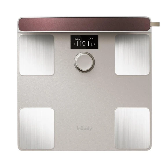 Dial H40 Smart Scale — Smart Scale, InBody