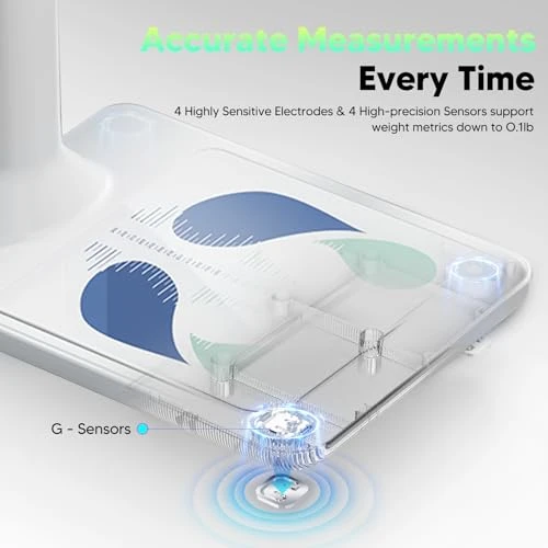 Digital Physician Scale with Ultrasonic Height and Weight Measurement — Smart Scale, Arboleaf