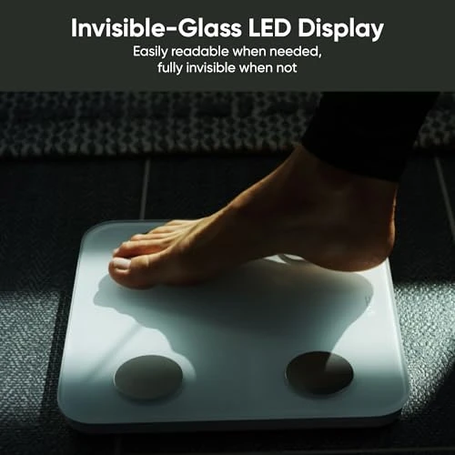 Scale S — Smart Scale, WyzeCam