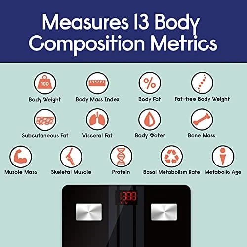Bluetooth Body Fat Scale — Smart Scale, EnerPlex