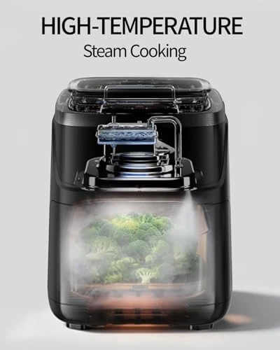 Steam Air Fryer — Air Fryer, EDENPEER