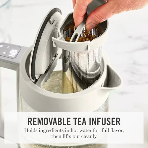 Electric Kettle with Stainless Steel Tea Infuser — Electric Kettle, Martha Stewart