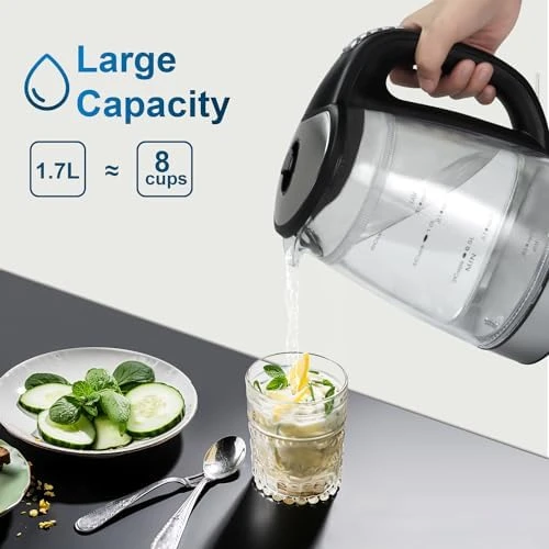 Electric Kettle with Temperature Control — Electric Kettle, JaneHome