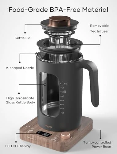 Electric Tea Kettle with Tea Infuser — Electric Kettle, INTASTING