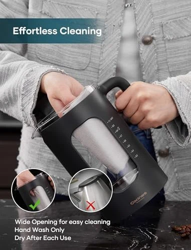 Electric Tea Kettle with Tea Infuser — Electric Kettle, INTASTING