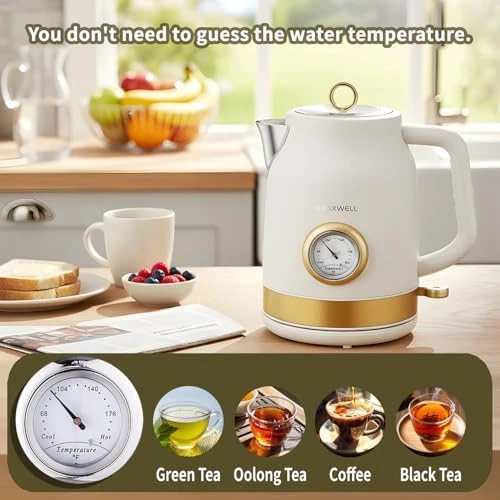 Retro Electric Kettle with Temperature Gauge — Electric Kettle, QUAXWELL