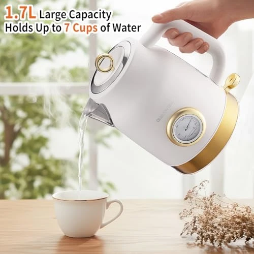 Retro Electric Kettle with Temperature Gauge — Electric Kettle, QUAXWELL