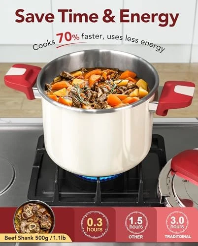 Stainless Steel Pressure Cooker — Multicooker, MICHELANGELO