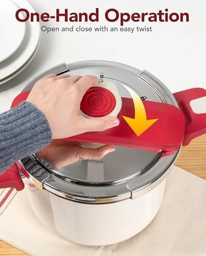 Stainless Steel Pressure Cooker — Multicooker, MICHELANGELO