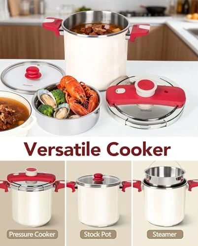 Stainless Steel Pressure Cooker — Multicooker, MICHELANGELO