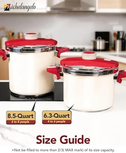 Stainless Steel Pressure Cooker — Multicooker, MICHELANGELO