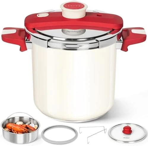 Stainless Steel Pressure Cooker — Multicooker, MICHELANGELO