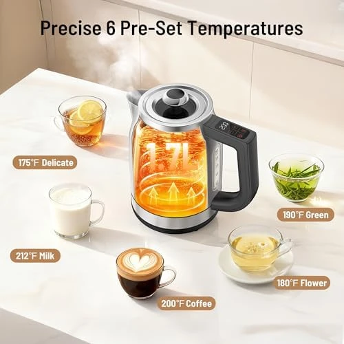 Temperature Control Electric Kettle — Electric Kettle, PARIS RHÔNE