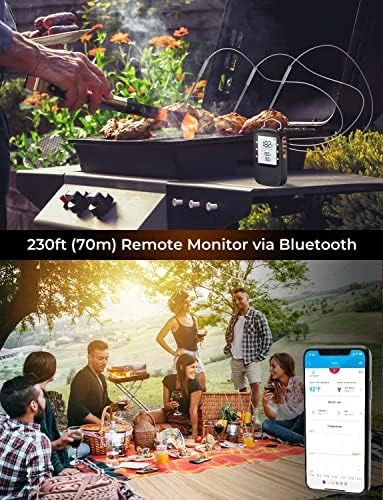 Bluetooth Meat Thermometer Bundle with Smart Electric Kettle — Electric Kettle, Govee