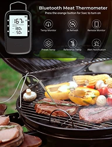 Bluetooth Meat Thermometer Bundle with Smart Electric Kettle — Electric Kettle, Govee