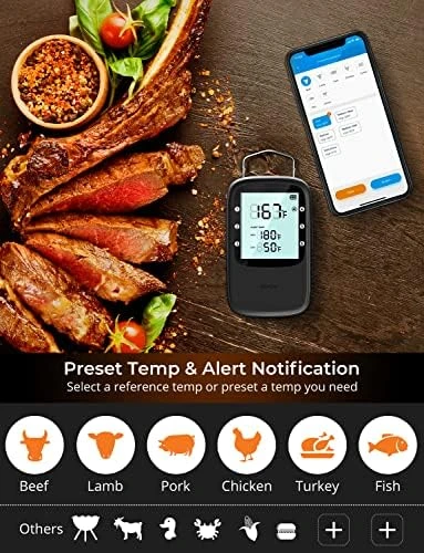 Bluetooth Meat Thermometer Bundle with Smart Electric Kettle — Electric Kettle, Govee