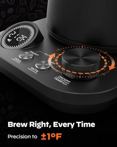 Electric Gooseneck Kettle with Precise Temp Control — Electric Kettle, Silonn