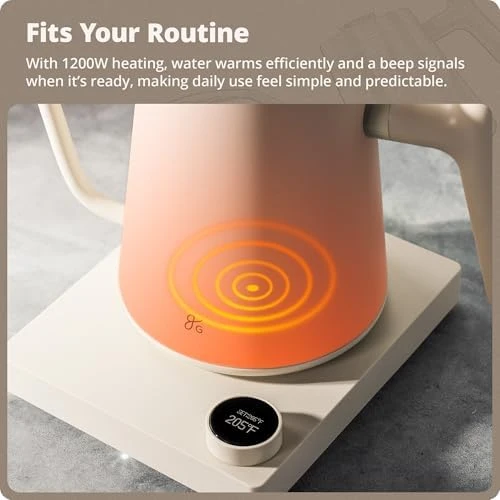 Electric Gooseneck Kettle with Precision Temperature Control — Electric Kettle, Greater Goods