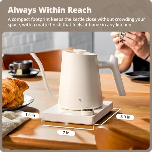 Electric Gooseneck Kettle with Precision Temperature Control — Electric Kettle, Greater Goods